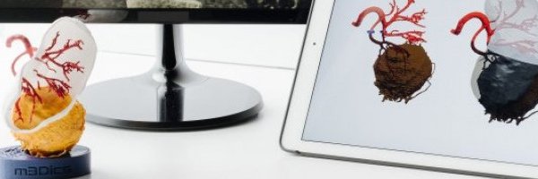 Simona Barbuto banner