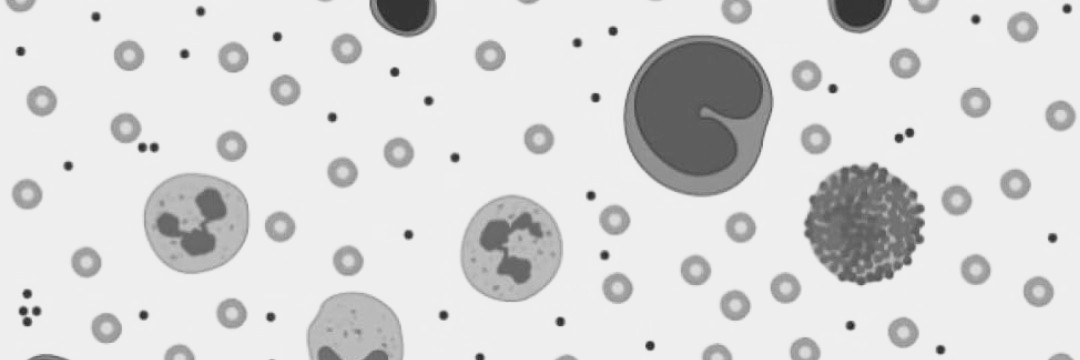 Drew95C's profile banner image