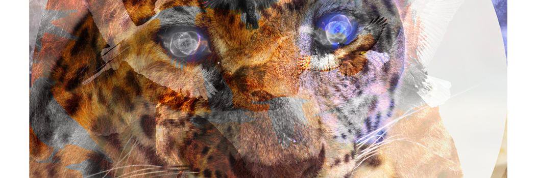 live_thrive's profile banner image