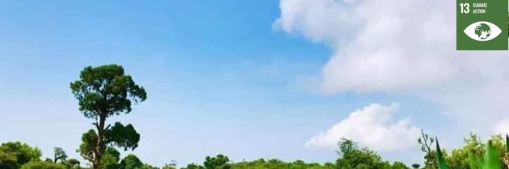 greenpeacesom's profile banner image
