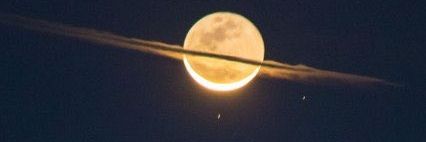 Lune D’Oreé banner