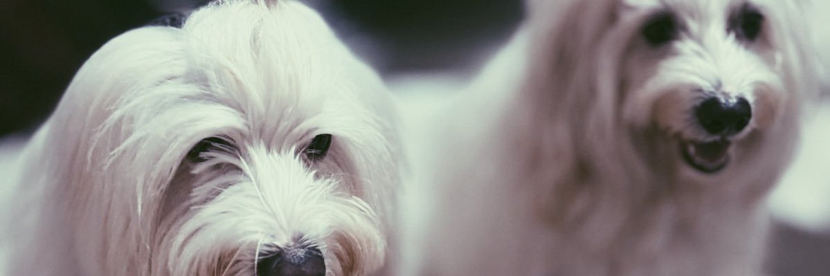 tfysnts's profile banner image