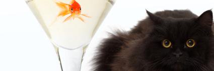 pet_minding1's profile banner image