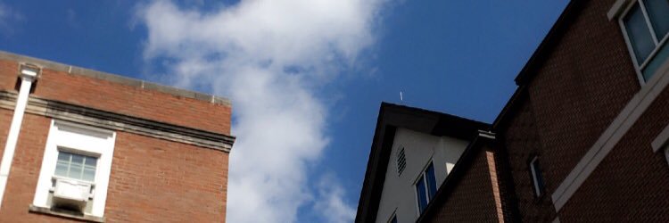 BrotherFitzpat1's profile banner image