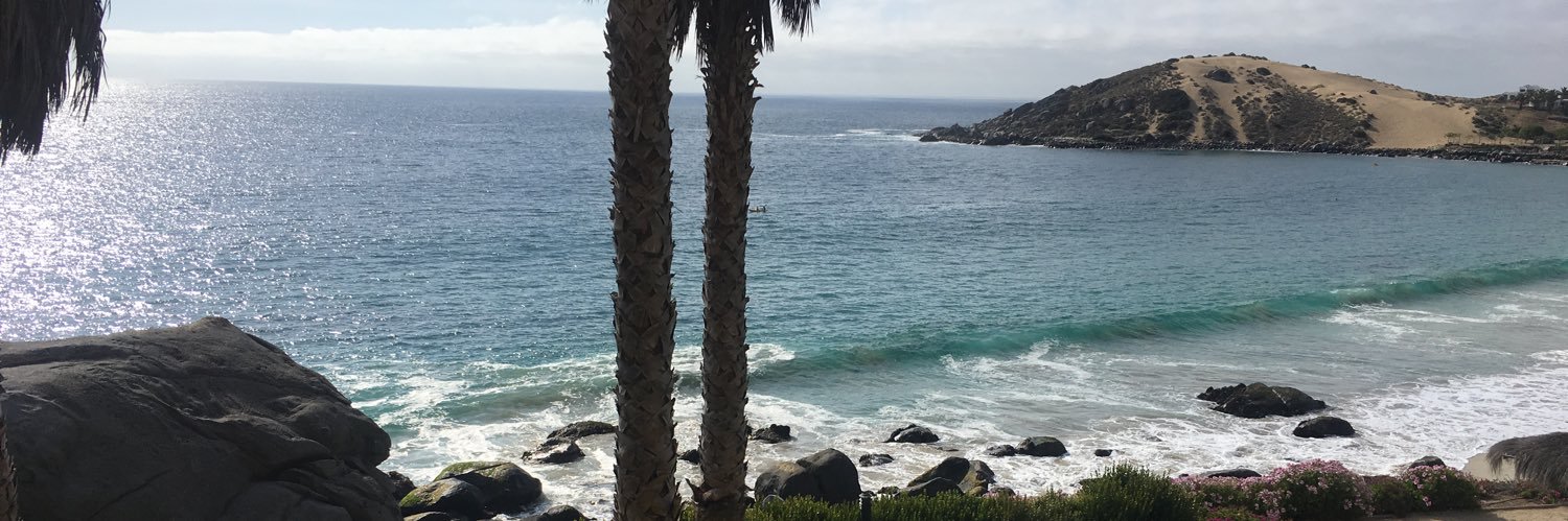 CerdaPabla's profile banner image