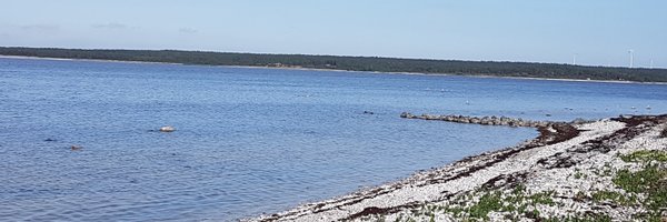 _adameur Profile Banner