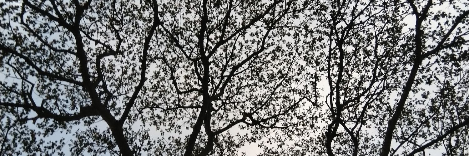 Krynggg's profile banner image