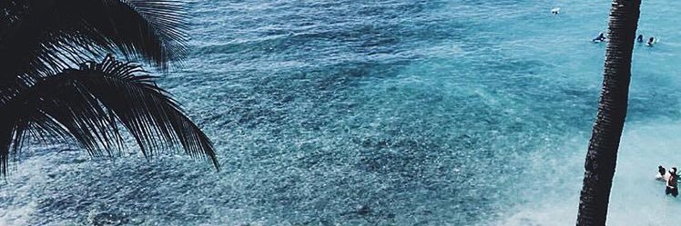 ecemkaraoglu_'s profile banner image