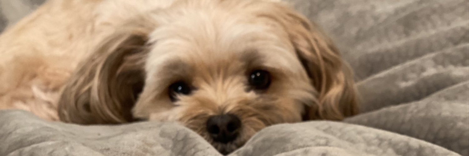 myname_Austin's profile banner image
