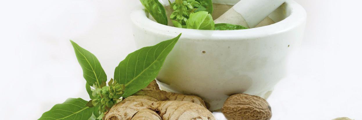 CSchoolAyurveda's profile banner image