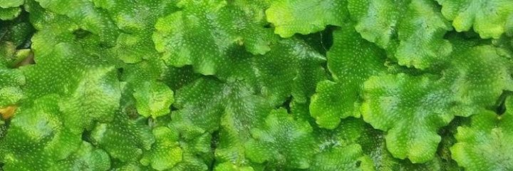 arun_rund's profile banner image