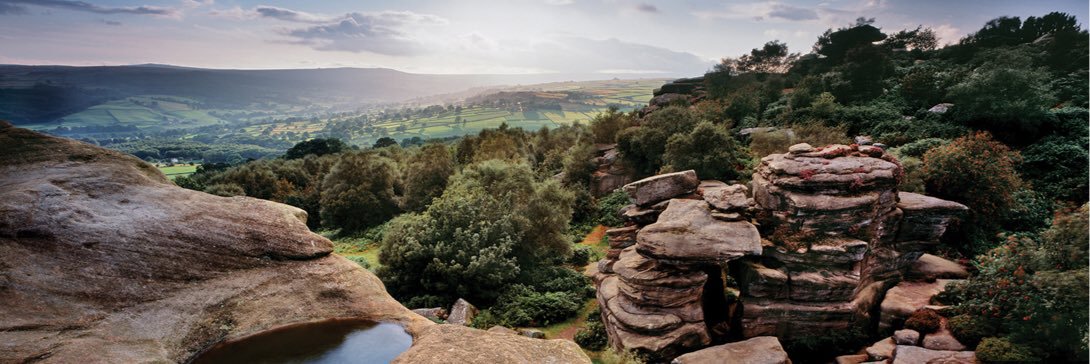 Harrogate Scouts banner