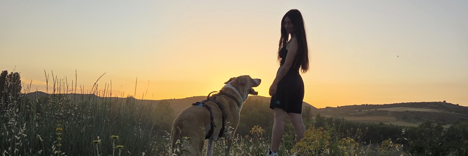 reicheldz's profile banner image