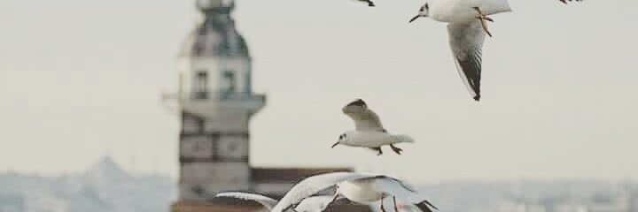 guven_nermin's profile banner image