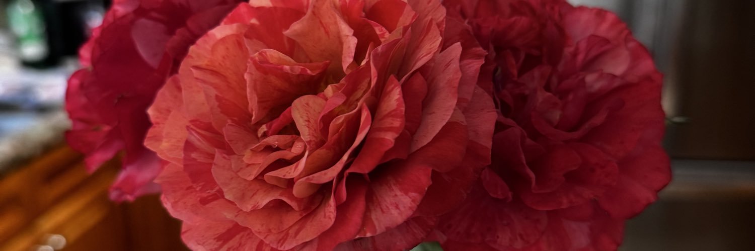 MagaMatriarch banner