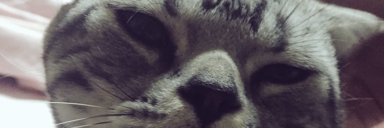 T6pDs's profile banner image