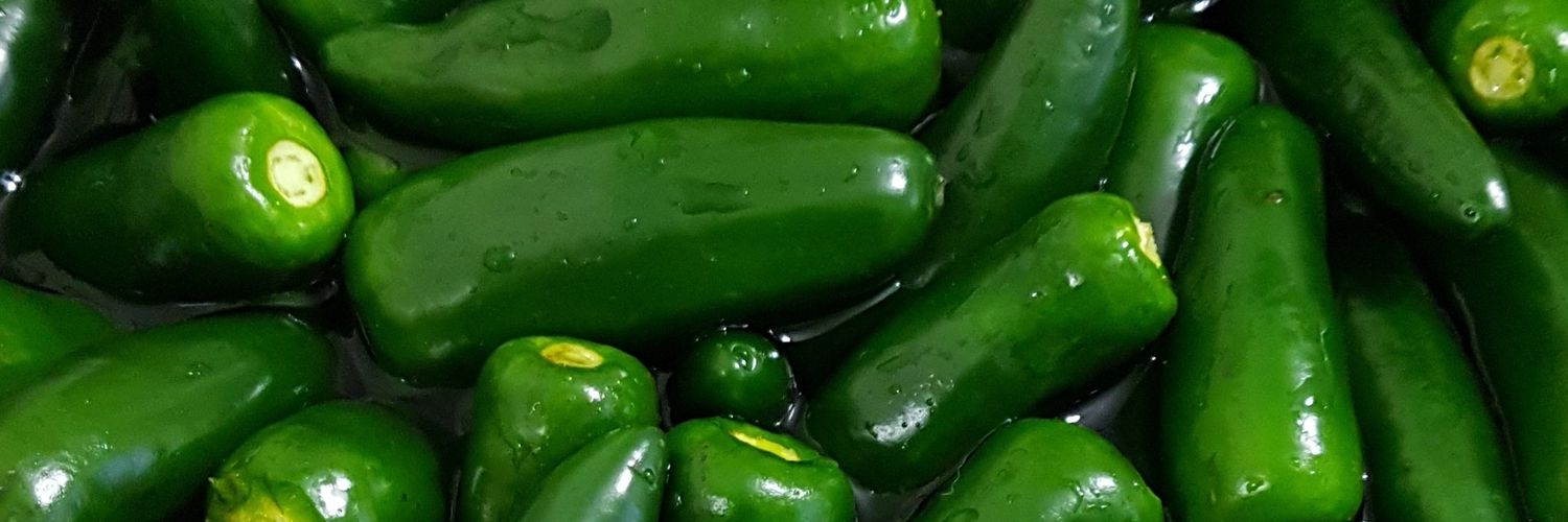 chefjoaorocha's profile banner image