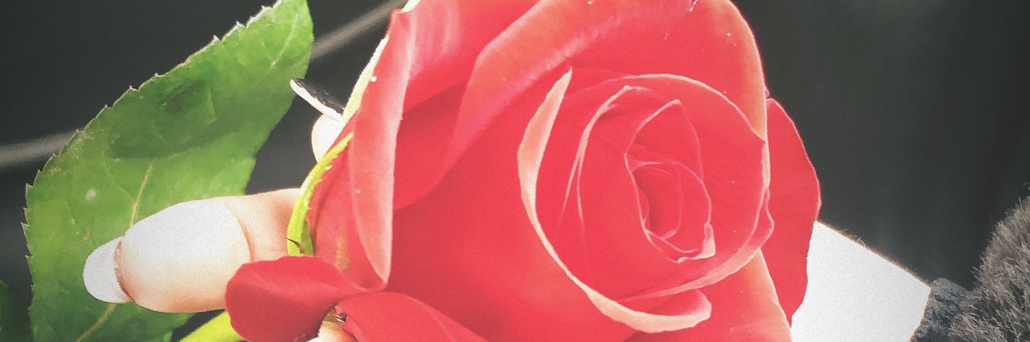 Susanaa20's profile banner image