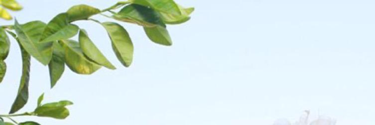 Mymy355's profile banner image