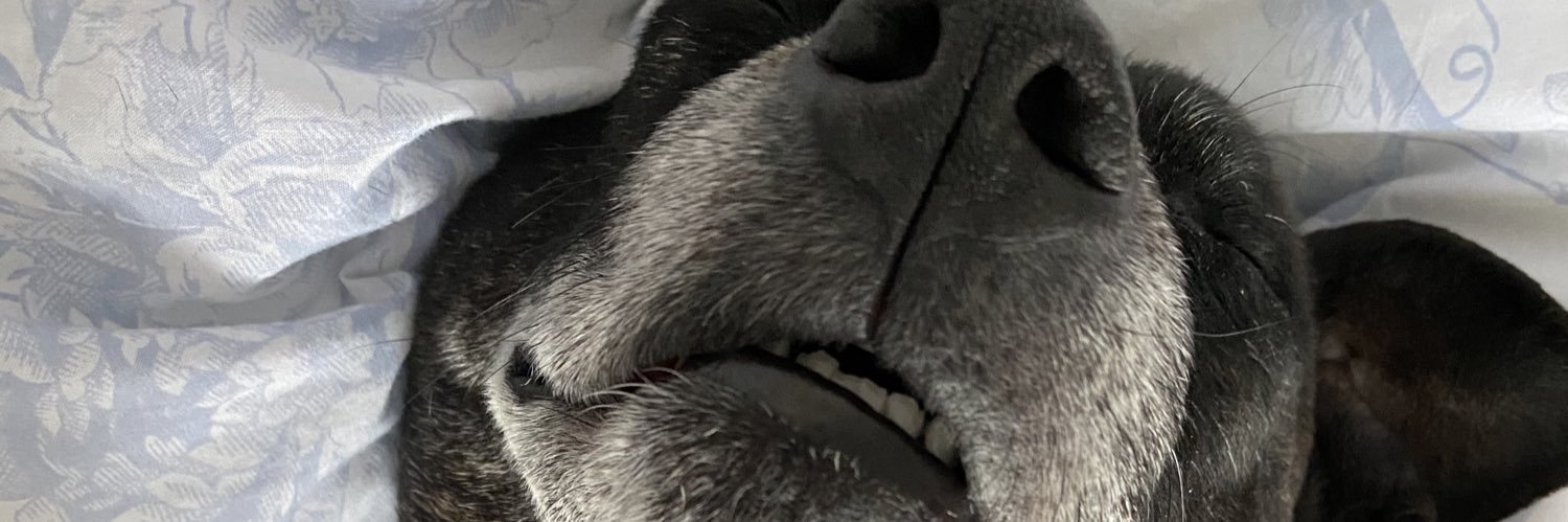 shaunapetite's profile banner image