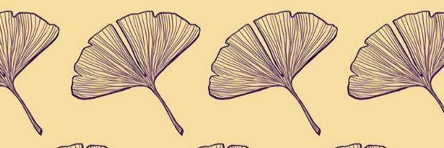 elysegregory's profile banner image