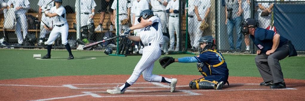 Will Potdevin banner