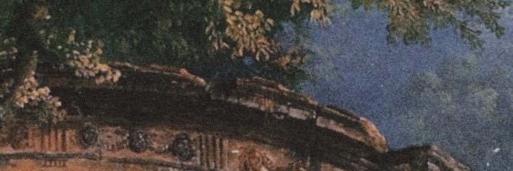 sunsetsmind's profile banner image