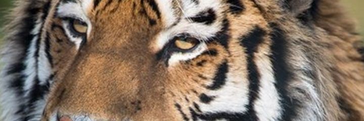 AmponsahMoses2's profile banner image