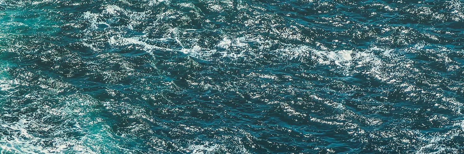 Privacyforowner's profile banner image