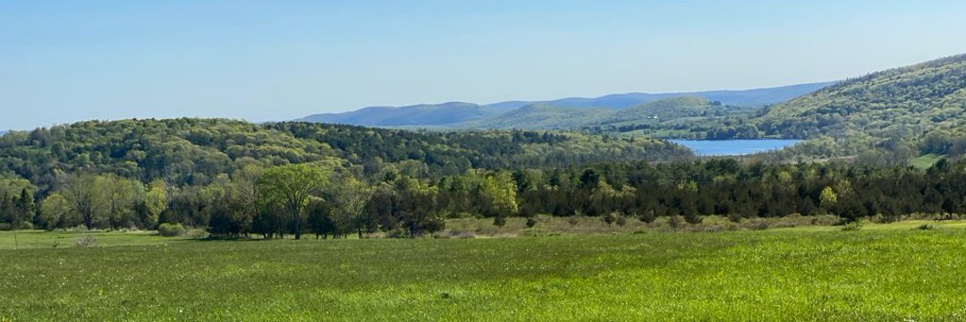 SamBronr's profile banner image