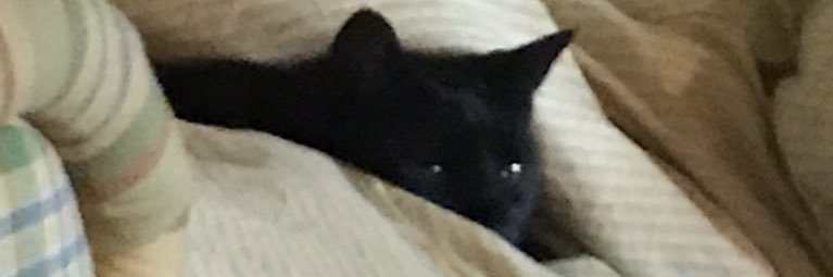 undeadgengars's profile banner image