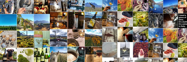 winewonderlust's profile banner image