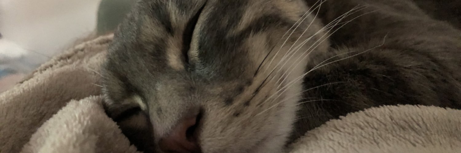 Flo_grimo's profile banner image