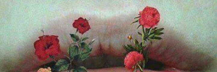 rababal28959025's profile banner image