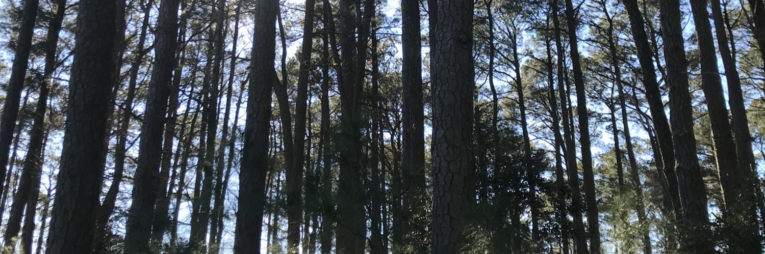 nikhiletc's profile banner image