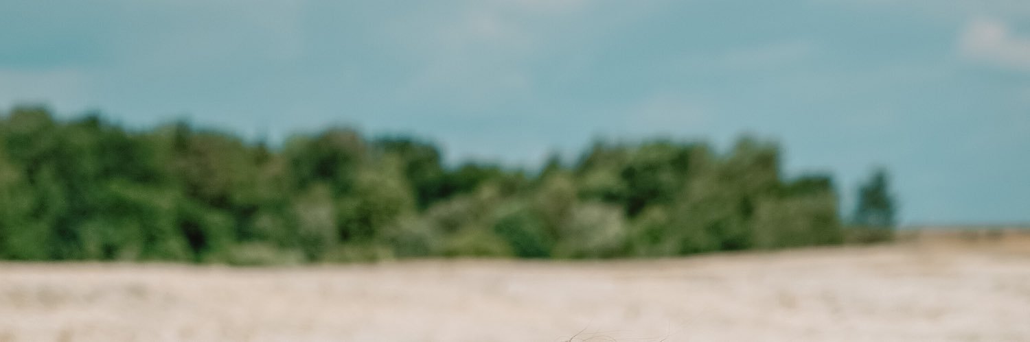 RAusteja's profile banner image