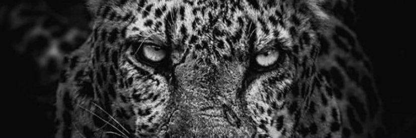 AnthonyJohn__'s profile banner image