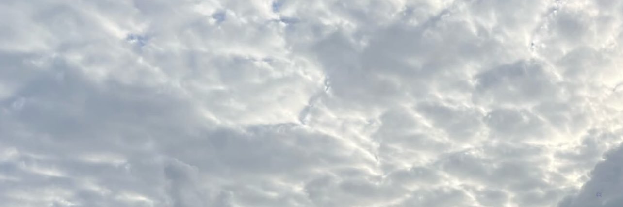 SiguaKennedy's profile banner image
