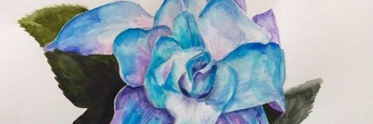 ISA banner