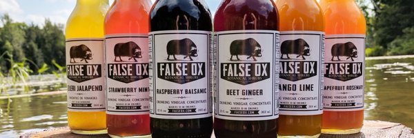 False_Ox Profile Banner