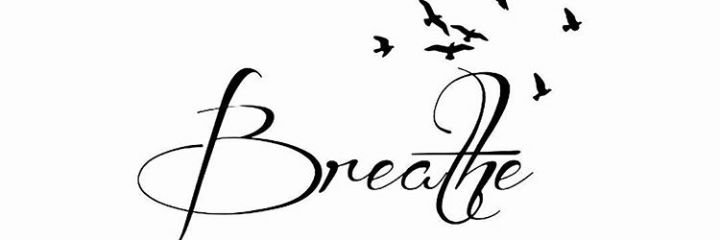 KathrynRop's profile banner image