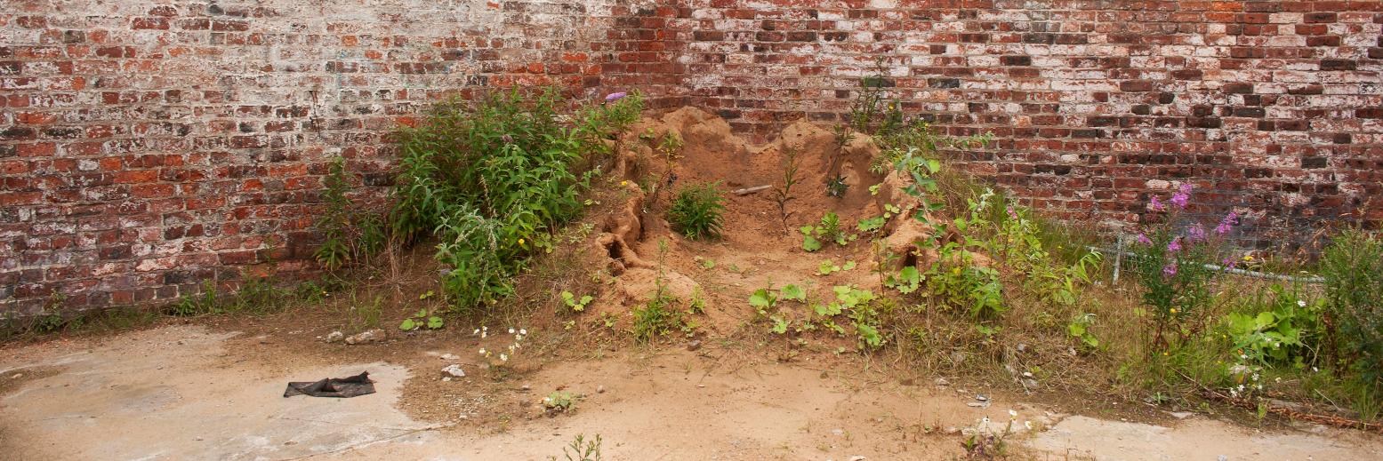 Dr Jim Brogden FRSA banner