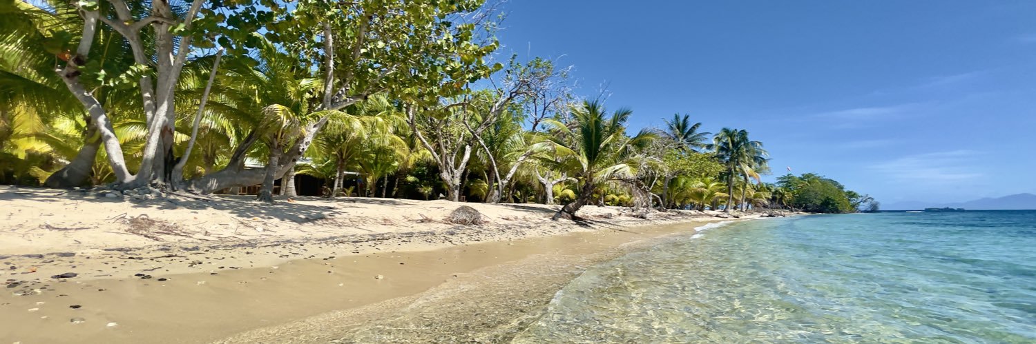 Miguel Zafra 🎵 banner