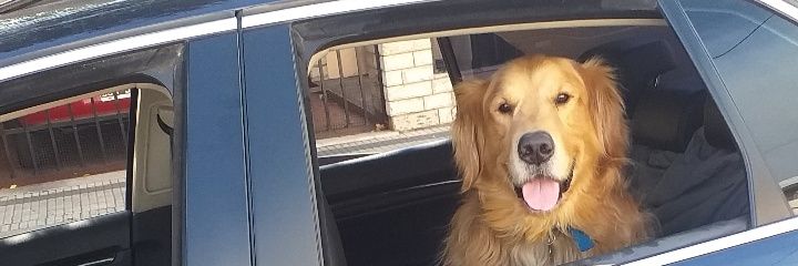 Emiliocjs's profile banner image