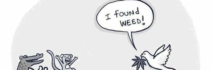 almostthereadam's profile banner image