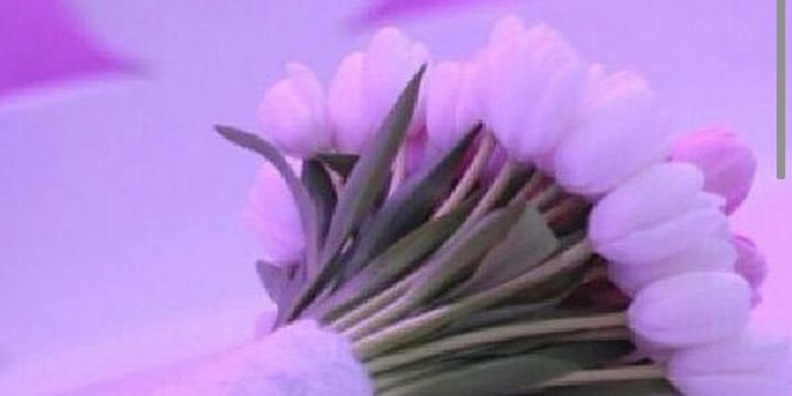 3936100's profile banner image
