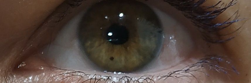 lucietrix's profile banner image