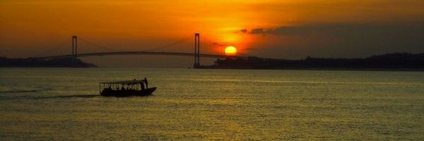 denicemayde's profile banner image