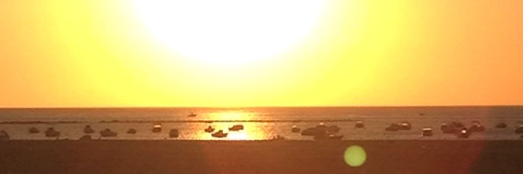 carivid's profile banner image