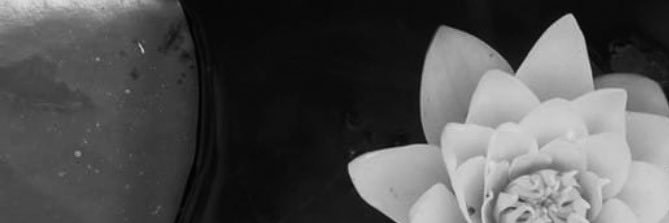 _Sopheee9's profile banner image